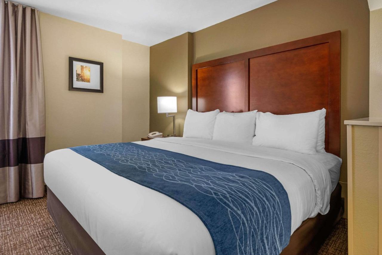 Comfort Inn Ocala Silver Springs Exterior foto